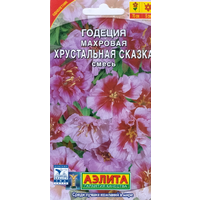 Годеция Девичий румянец