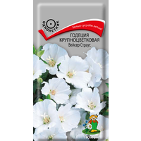 Годеция Вейсер Страус